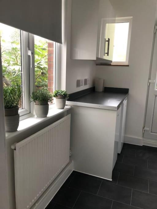 Garden Flat In Central Location Apartamento Londres Exterior foto